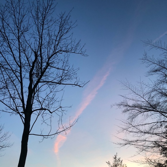 Meet your Posher, Jenna - Picture 1 of 1